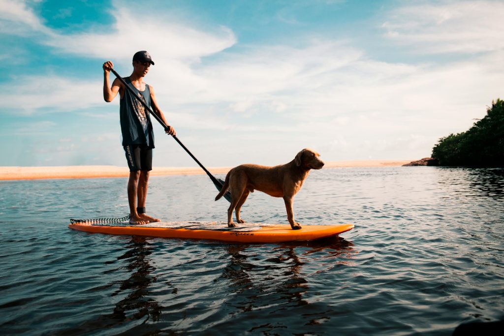 découverte du paddle gonflable zray : test complet