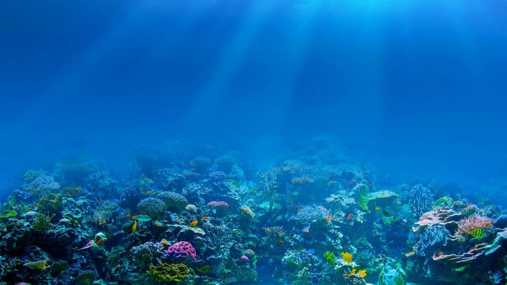 Comment filmer sous l’eau avec une caméra sport étanche